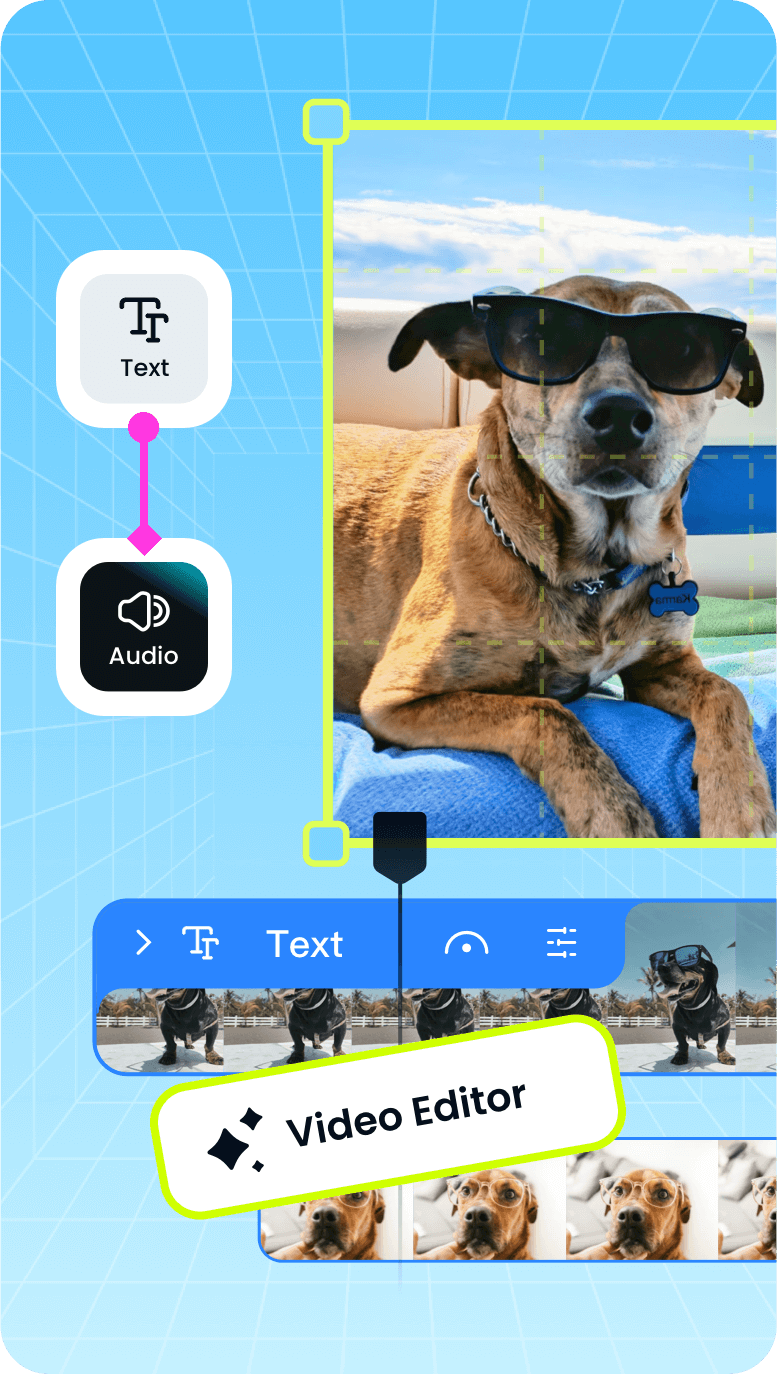 video editor